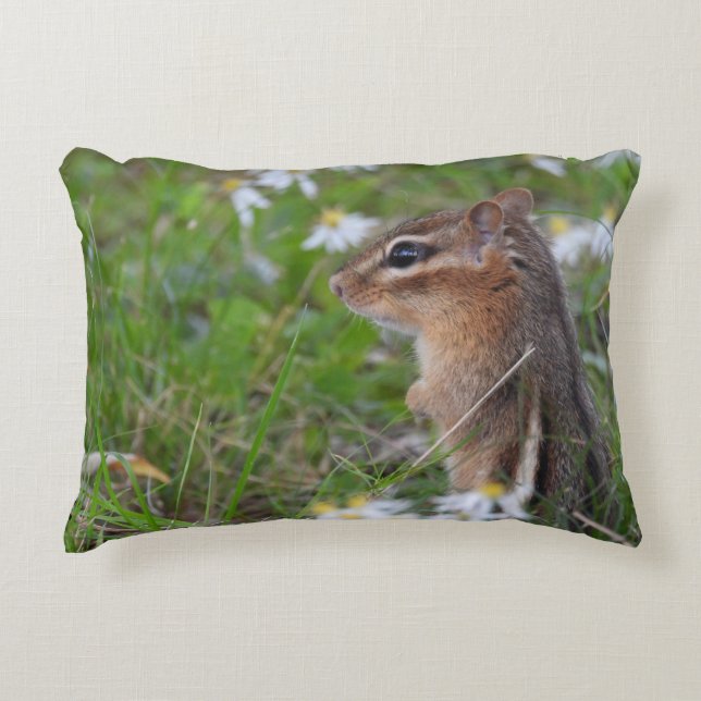 Coussins Décoratifs Adorable Chipmunk en fleurs (Devant)