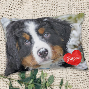 Coussins Décoratifs Amoureux des chiens photo moderne personnalisé ani