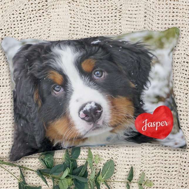Coussins Décoratifs Amoureux des chiens photo moderne personnalisé ani (Créateur téléchargé)