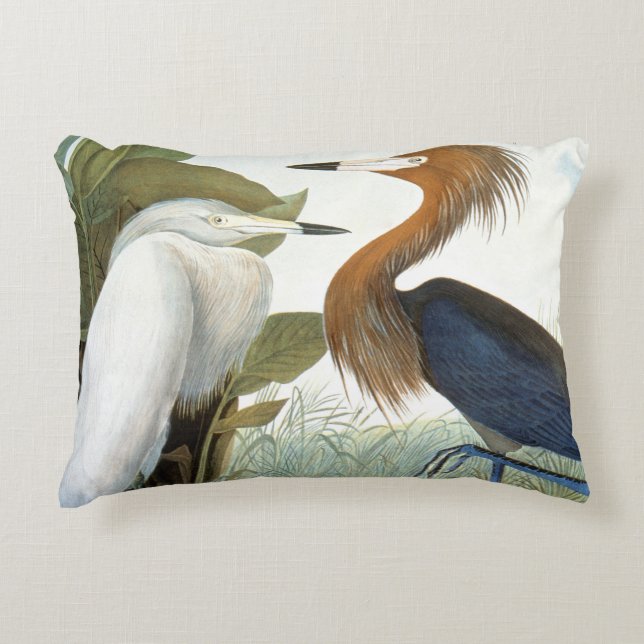 Coussins Décoratifs Audubon : Héron rougeâtre ou héron pourpre (Devant)