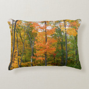Coussins Décoratifs Automne Maple Trees Automne Photographie de la nat