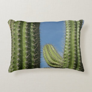 Coussins Décoratifs Cactus Barrique I Photo Désertique