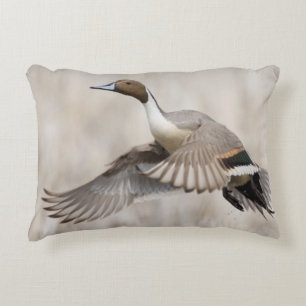 Coussins Décoratifs Canard colvert mâle prenant son envol