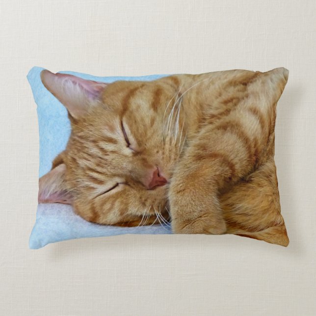 Coussins Décoratifs Chat couché (Devant)