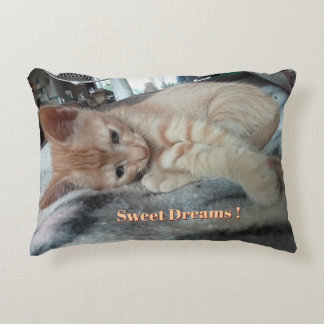 Coussins Décoratifs Chaton Orange , Texte Drôle , Photo Personnalisab