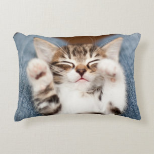 Coussins Décoratifs Chaton sur mon recouvrement