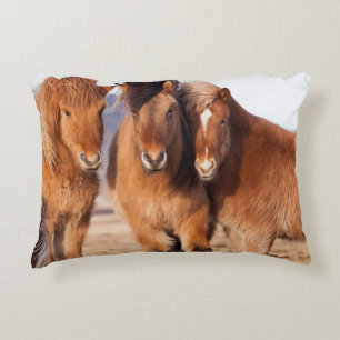 Coussins Décoratifs Cheval islandais en hiver