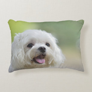 Coussins Décoratifs Chien maltais blanc
