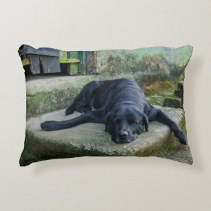 Coussins Décoratifs Chien somnolent