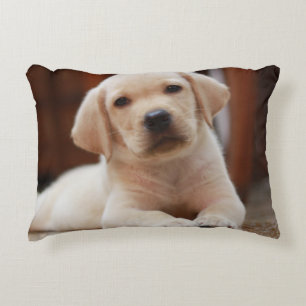 Coussins Décoratifs Chiot jaune de Labrador de bébé s'étendant sur le