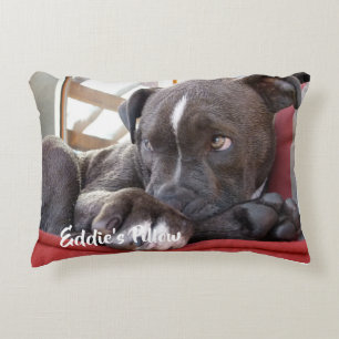 Coussins Décoratifs Chiot Pitbull pour bébé modifiable