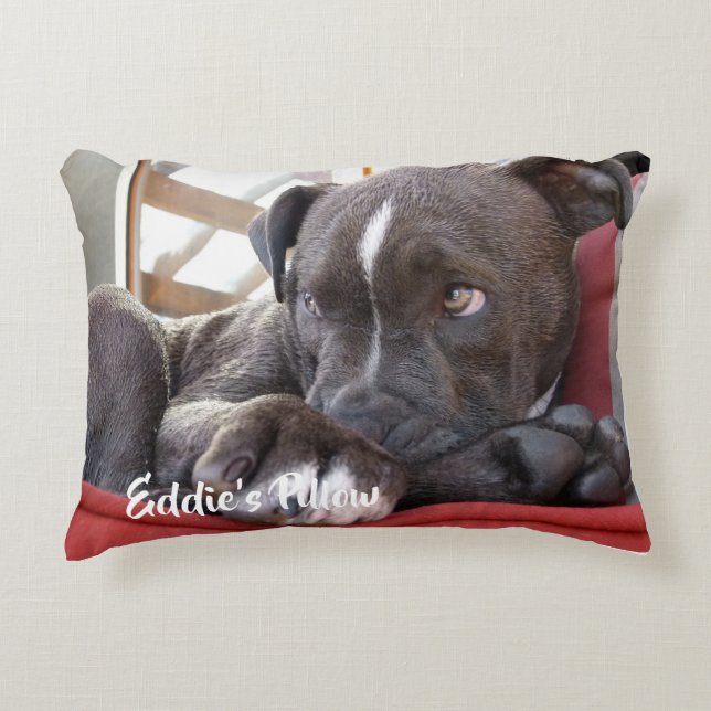 Coussins Décoratifs Chiot Pitbull pour bébé modifiable (Devant)