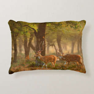 Coussins Décoratifs Chital or cheetal, Axis axis, spotted deers or axi