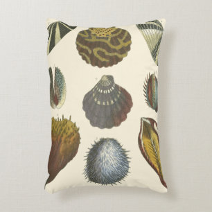 Coussins Décoratifs Collection de conchyliologie