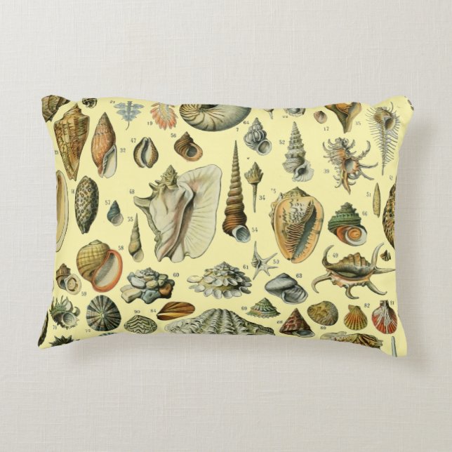 Coussins Décoratifs Coquillages de coquillages Mollusk Clam Élégant Ar (Dos)