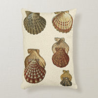 Coquilles antiques craquelées