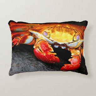 Coussins Décoratifs Crabe de Galapagos