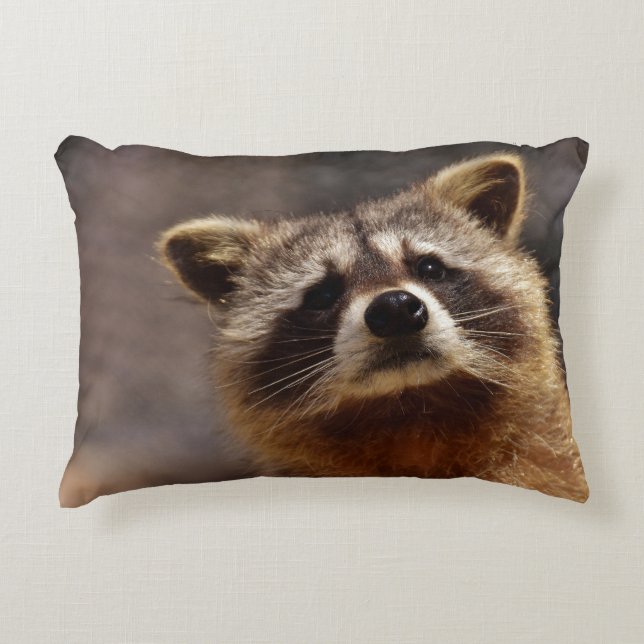 Coussins Décoratifs Curieux Photo Raccoon (Devant)
