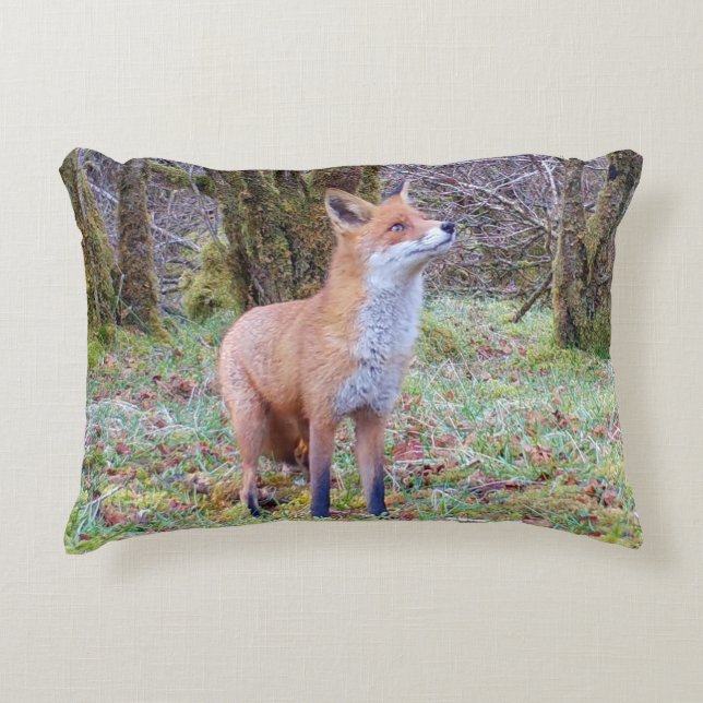 Coussins Décoratifs Customisable Red Fox Looking Up Cushion (Devant)