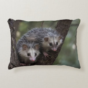 Coussins Décoratifs Double difficulté dans la canopée : Sommes jumelle