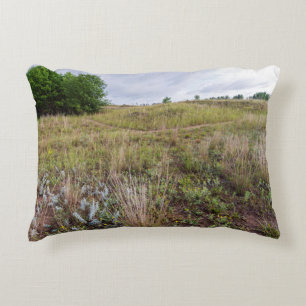Coussins Décoratifs dunes gris paysage de prairie