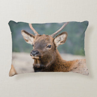 COUSSINS DÉCORATIFS ELK IN ROCKY MOUNTAIN NATIONAL PARK - ELK HERDS GR