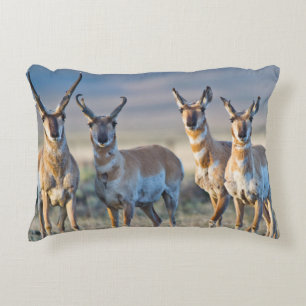 Coussins Décoratifs États-Unis, Wyoming, Quatre antilopes d'Amérique m