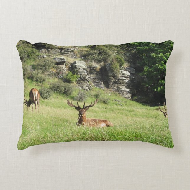 Coussins Décoratifs Étiquettes de la Nouvelle-Zélande (Devant)