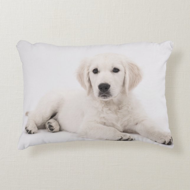 Coussins Décoratifs Golden retriever (Devant)