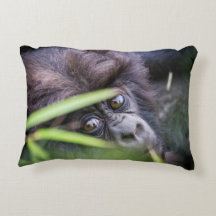 Gorille de bébé du Rwanda Afrique