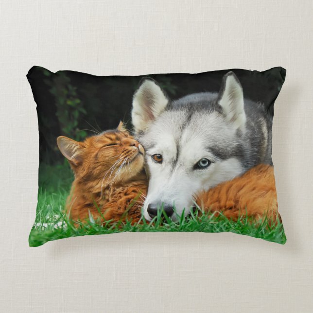 Coussins Décoratifs Les mignonnes amies du chat somalien et du Husky s (Devant)
