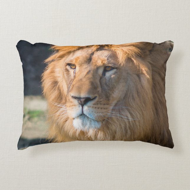 Coussins Décoratifs Lion 013 (Devant)