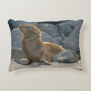 Coussins Décoratifs Lion de mer des Galapagos