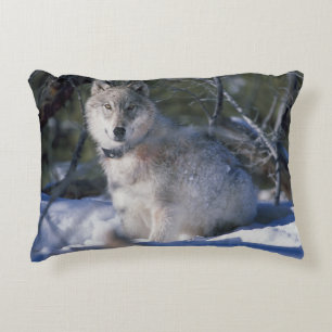 Coussins Décoratifs Loup d'hiver