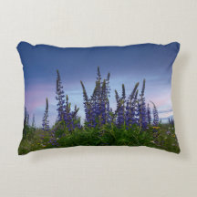 Lupins