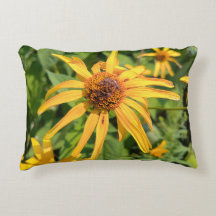 Macro de faux tournesols