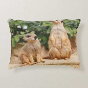 Coussins Décoratifs Meerkat 009