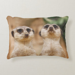 Coussins Décoratifs Meerkat 017
