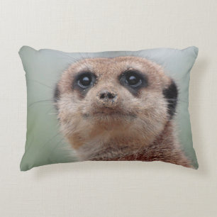 Coussins Décoratifs Meerkat 020