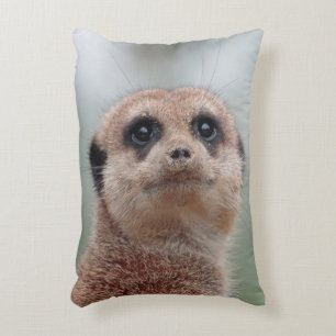Coussins Décoratifs Meerkat 036