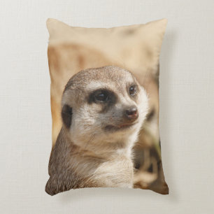 Coussins Décoratifs Meerkat 052