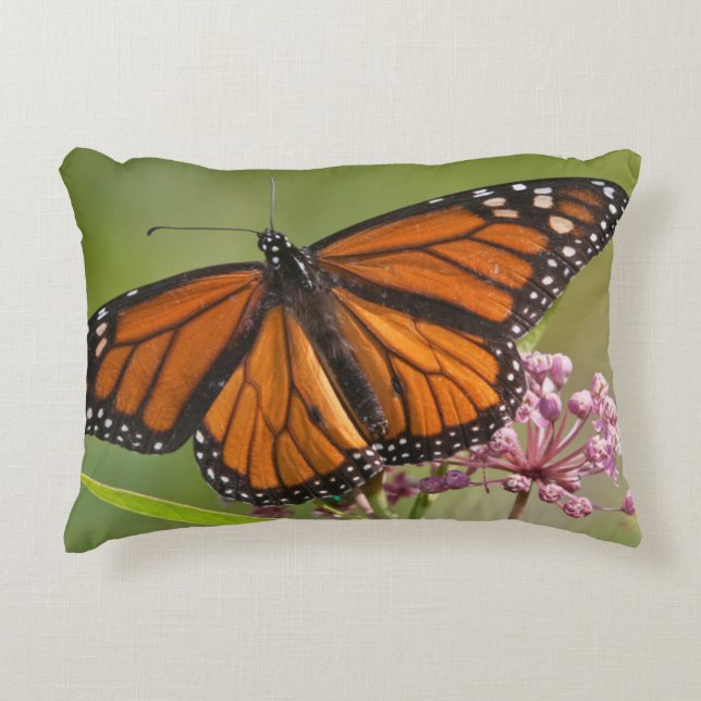 Coussins Décoratifs Monarque papillon mâle sur le marécage Milkweed (Devant)