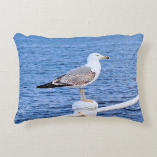 Coussins Décoratifs Mouette Constanta Roumanie – Photographie de la me