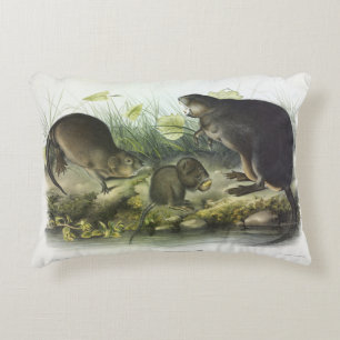 Coussins Décoratifs Muskrat de Quadrupeds of North America d'Audubon