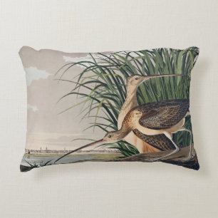 Coussins Décoratifs Oiseau de Courlis à long bec Audubon