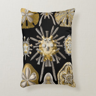 Coussins Décoratifs Oursins Vintage Dollars des sables par Ernst Haeck