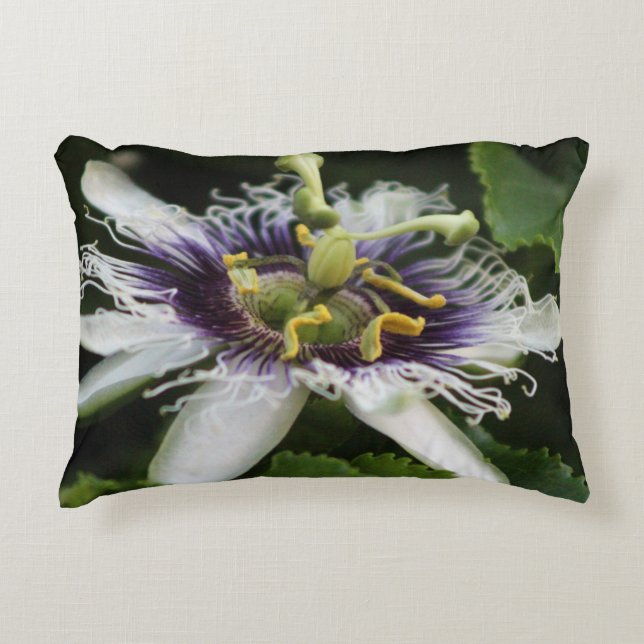 Coussins Décoratifs Passion flower closeup 3 (Devant)