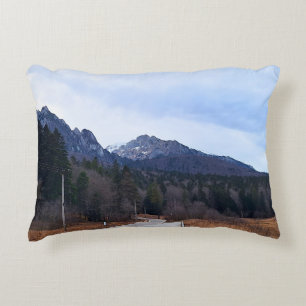 Coussins Décoratifs Paysage Scénique de la Route Forestière Nature Sau