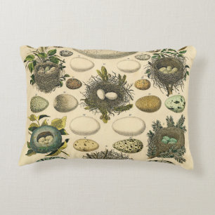 Coussins Décoratifs Peinture artistique de nid d'oeuf d'oiseau vintage