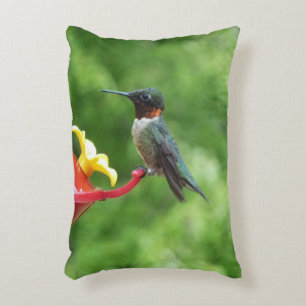 Coussins Décoratifs Photographie d'oiseau de colibri à gorge rubis